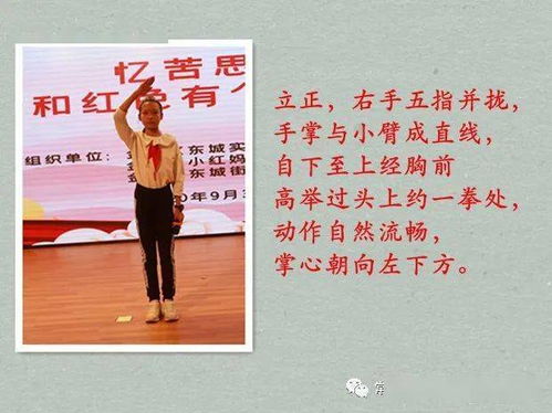 少先隊基礎(chǔ)知識和隊禮儀訓練