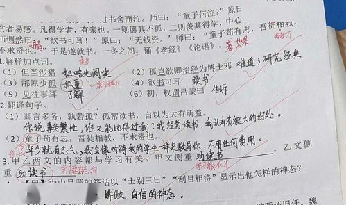 如何夯實小學生的語文基礎知識