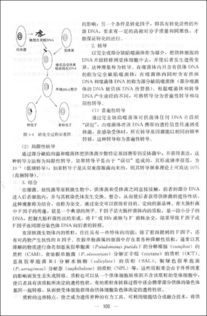 水微生物學基礎(chǔ)知識