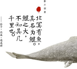 北冥有魚的基礎(chǔ)知識(shí)