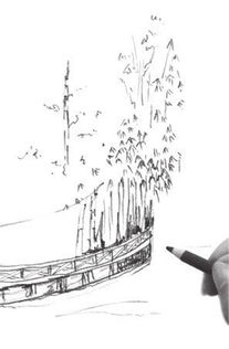 學(xué)畫的基礎(chǔ)知識(shí)