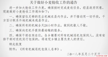 糾錯(cuò),基礎(chǔ)知識(shí),公文