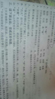 高一語文知識基礎(chǔ)分析