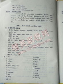 初中基礎(chǔ)知識講析與測試七級下冊答案