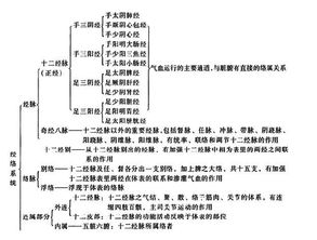 中醫(yī)基礎(chǔ)知識(shí)面試題