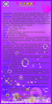 頭部的基礎(chǔ)知識