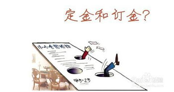 基礎(chǔ)知識,餐廳,酒店,服務(wù)