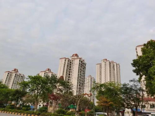 地段,基礎(chǔ)知識,房地產(chǎn)