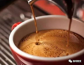 學咖啡最基礎的知識