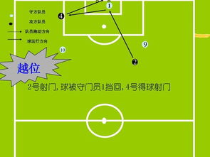 足球教學(xué)基礎(chǔ)知識(shí)