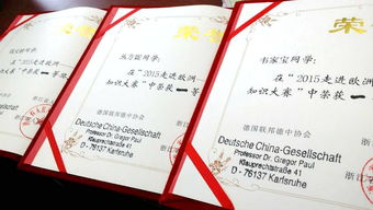 基礎(chǔ)知識,大賽,高中