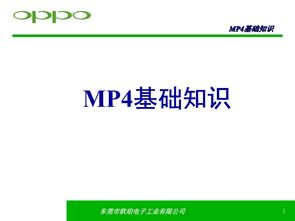 小說基礎(chǔ)知識ppt