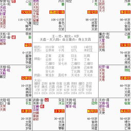 飛星紫微排盤基礎(chǔ)知識(shí)