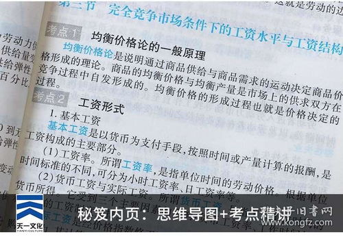 人力資源考試四級基礎知識