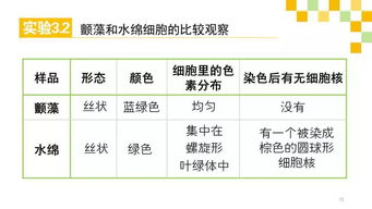 基礎(chǔ)知識(shí),重要性,高中生物