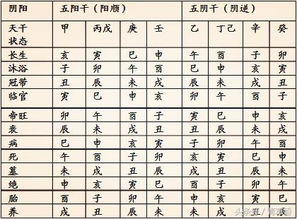 初學八字基礎知識(一)