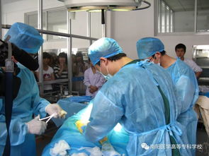 康復(fù)治療技術(shù)專業(yè)相關(guān)基礎(chǔ)知識