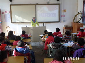 少先隊基礎知識課程活動教案