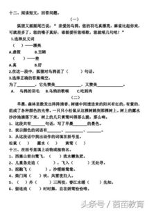 人教版,基礎(chǔ)知識,單元,小學