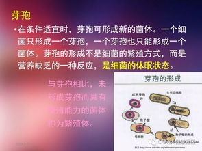 衛(wèi)生學(xué)及微生物基礎(chǔ)知識培訓(xùn)