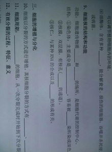 高三生物知識點(diǎn)基礎(chǔ)知識填空