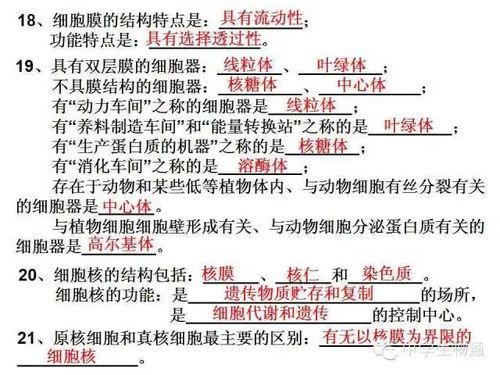 必修,基礎知識,測試,高中生物