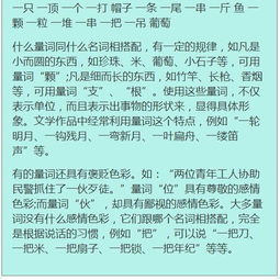 基礎(chǔ)知識(shí),語文,考試,初一上