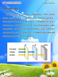 輻射安全基礎(chǔ)知識