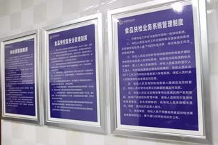 食品藥品市場監(jiān)管基礎(chǔ)知識