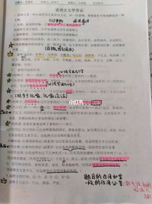 中考說明文的基礎(chǔ)知識(shí)