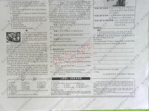 九級(jí)學(xué)英語基礎(chǔ)知識(shí)專練報(bào)紙