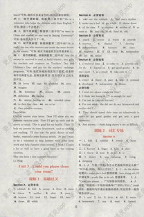 組合,英語(yǔ),基礎(chǔ)知識(shí),八級(jí)