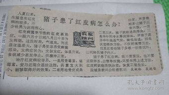 養(yǎng)豬基礎(chǔ)知識71講