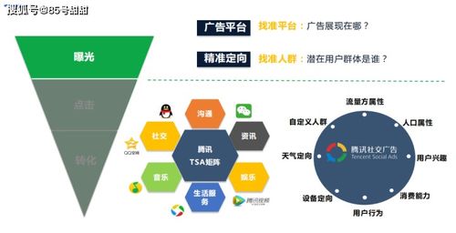 認(rèn)知,基礎(chǔ)知識(shí),目標(biāo),籃球