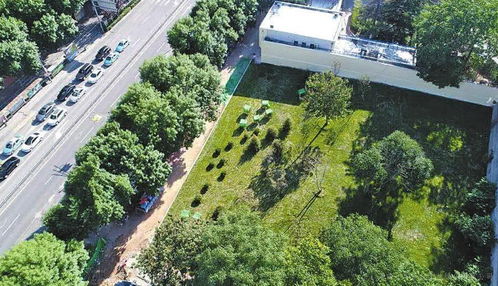 園林綠化高級(jí)工基礎(chǔ)知識(shí)