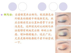 理論知識(shí),化妝,基礎(chǔ)