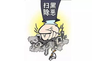 掃黑除惡專項(xiàng)斗基礎(chǔ)知識(shí)應(yīng)知應(yīng)會(huì)