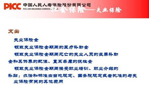 政府購崗社保所公共基礎知識