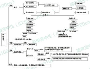 生物必修一基礎(chǔ)知識,生物必修二基礎(chǔ)知識,生物必修三基礎(chǔ)知識