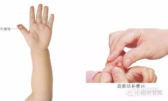 小兒推拿基礎(chǔ)知識理論,小兒推拿基礎(chǔ)知識簡介,小兒推拿基礎(chǔ)知識ppt