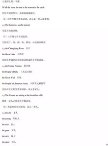 基礎(chǔ)知識,初中英語