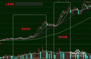 房地產(chǎn)收入及成本基礎(chǔ)知識大全