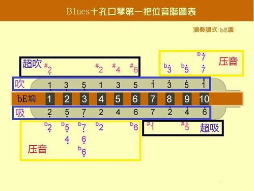 十孔口琴的基礎(chǔ)知識(shí)