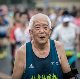 田徑中跑的基礎(chǔ)知識