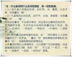 教育部高中暑假語文基礎(chǔ)知識