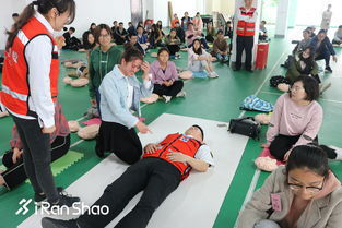 馬拉松志愿者基本知識(shí),馬拉松急救知識(shí)大全,馬拉松醫(yī)療志愿者急救知識(shí)培訓(xùn)