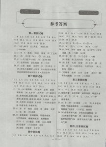 上冊,基礎(chǔ)知識,試卷,七級