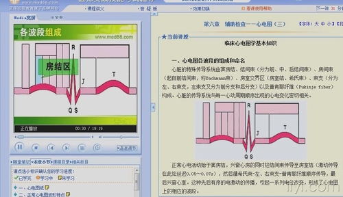 心電圖,基礎(chǔ)知識(shí),教學(xué)