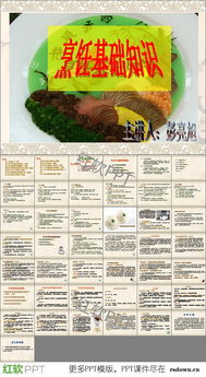烹飪基礎(chǔ)知識(shí)課件