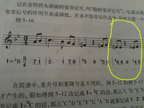 五線譜樂(lè)理基礎(chǔ)知識(shí)界